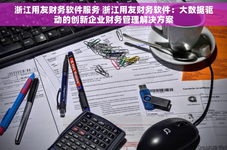浙江用友财务软件服务 浙江用友财务软件：大数据驱动的创新企业财务管理解决方案