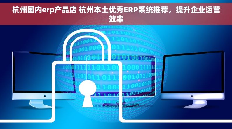 杭州国内erp产品店 杭州本土优秀ERP系统推荐，提升企业运营效率