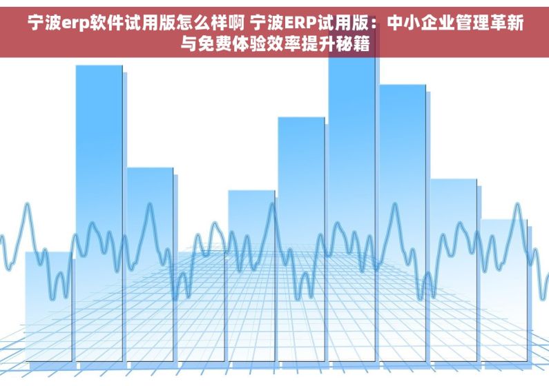 宁波erp软件试用版怎么样啊 宁波ERP试用版：中小企业管理革新与免费体验效率提升秘籍
