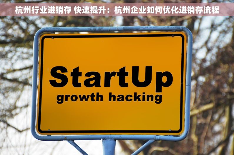 杭州行业进销存 快速提升：杭州企业如何优化进销存流程