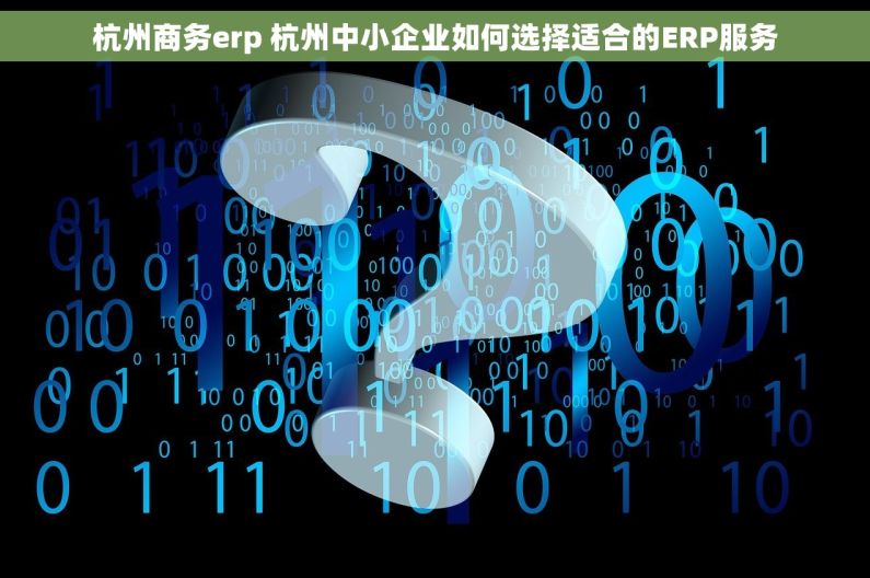 杭州商务erp 杭州中小企业如何选择适合的ERP服务