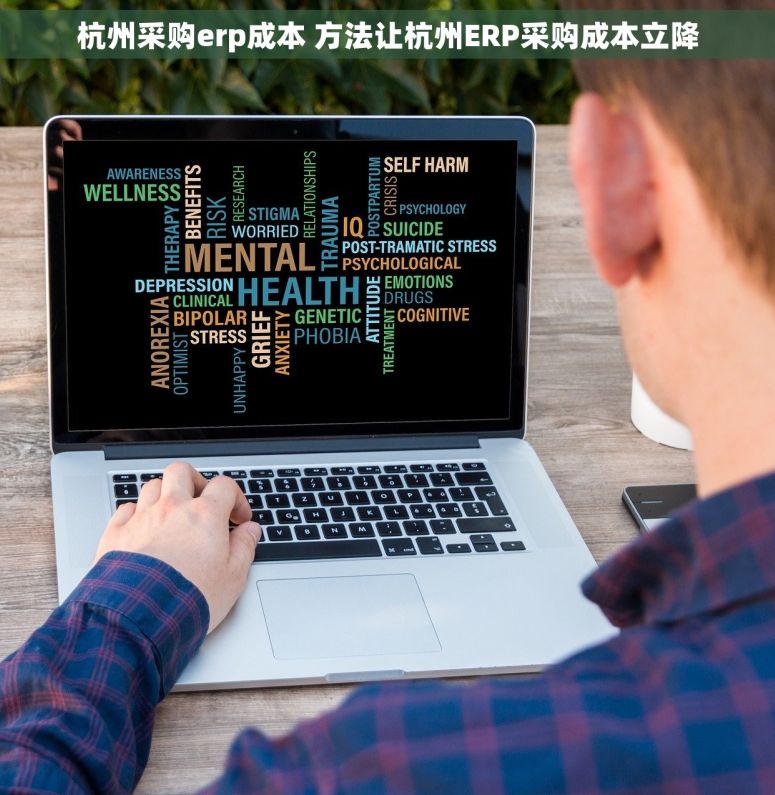 杭州采购erp成本 方法让杭州ERP采购成本立降