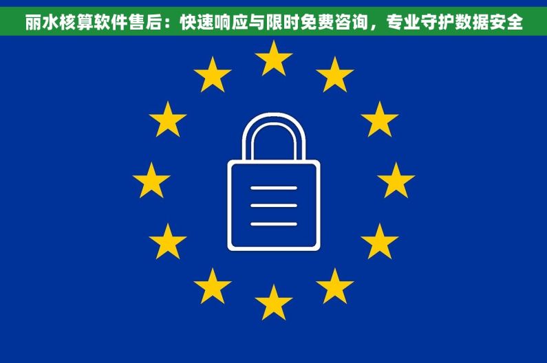 丽水核算软件售后：快速响应与限时免费咨询，专业守护数据安全