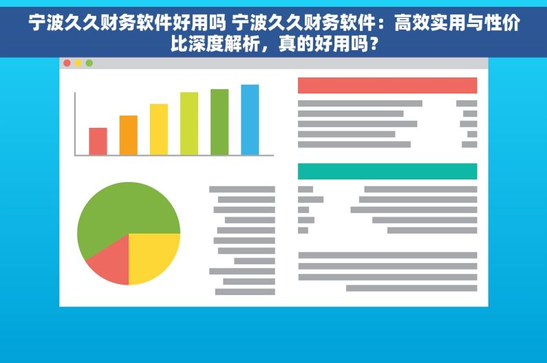 宁波久久财务软件好用吗 宁波久久财务软件：高效实用与性价比深度解析，真的好用吗？