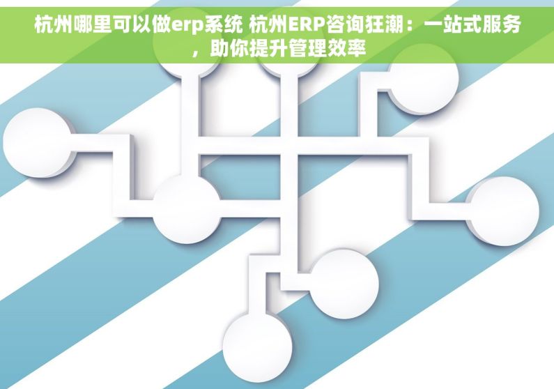 杭州哪里可以做erp系统 杭州ERP咨询狂潮：一站式服务，助你提升管理效率