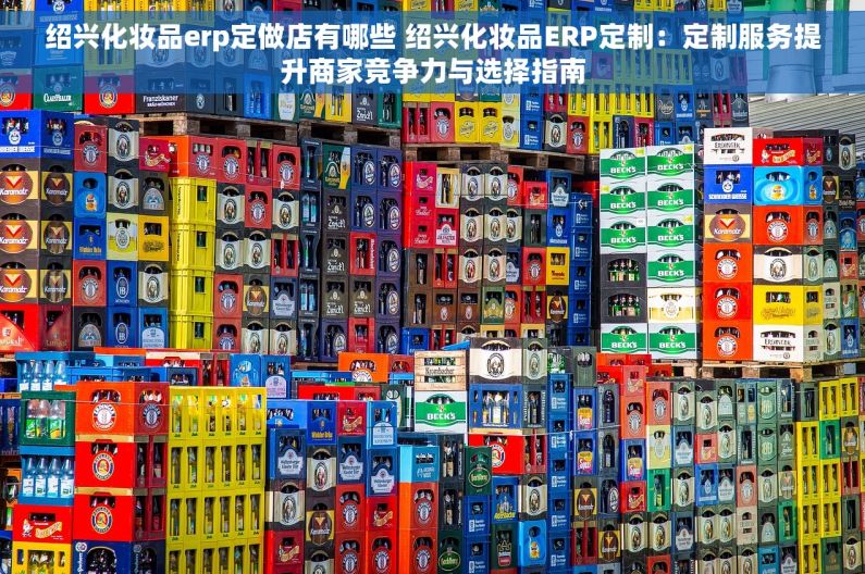 绍兴化妆品erp定做店有哪些 绍兴化妆品ERP定制：定制服务提升商家竞争力与选择指南