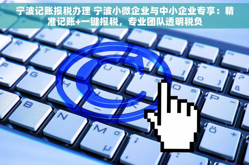 宁波记账报税办理 宁波小微企业与中小企业专享：精准记账+一键报税，专业团队透明税负