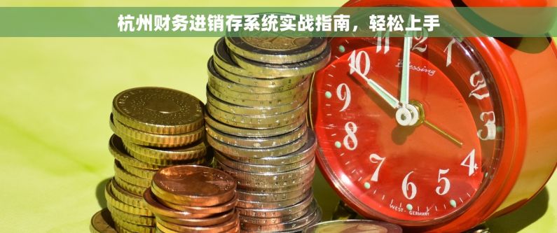 杭州财务进销存系统实战指南，轻松上手