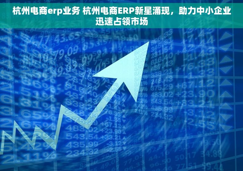 杭州电商erp业务 杭州电商ERP新星涌现，助力中小企业迅速占领市场