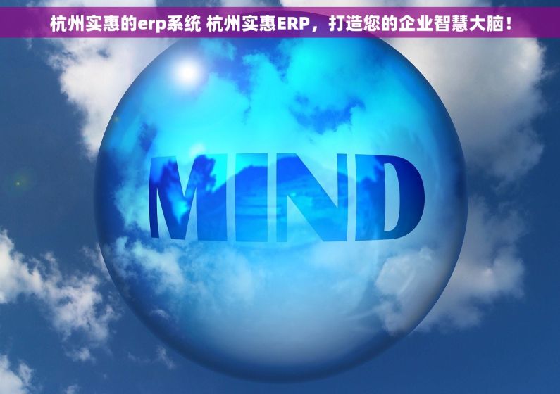 杭州实惠的erp系统 杭州实惠ERP，打造您的企业智慧大脑！