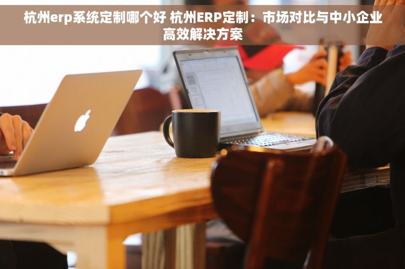 杭州erp系统定制哪个好 杭州ERP定制：市场对比与中小企业高效解决方案