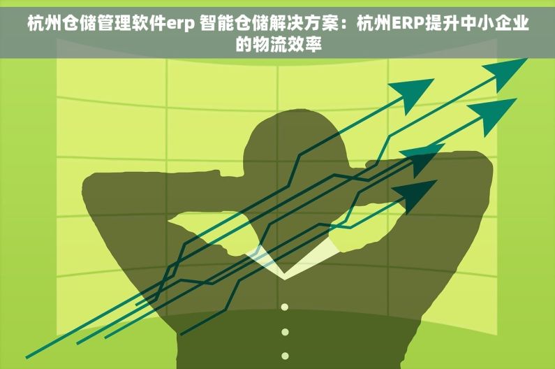 杭州仓储管理软件erp 智能仓储解决方案：杭州ERP提升中小企业的物流效率