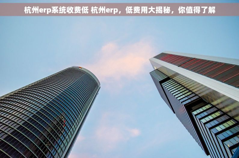 杭州erp系统收费低 杭州erp，低费用大揭秘，你值得了解
