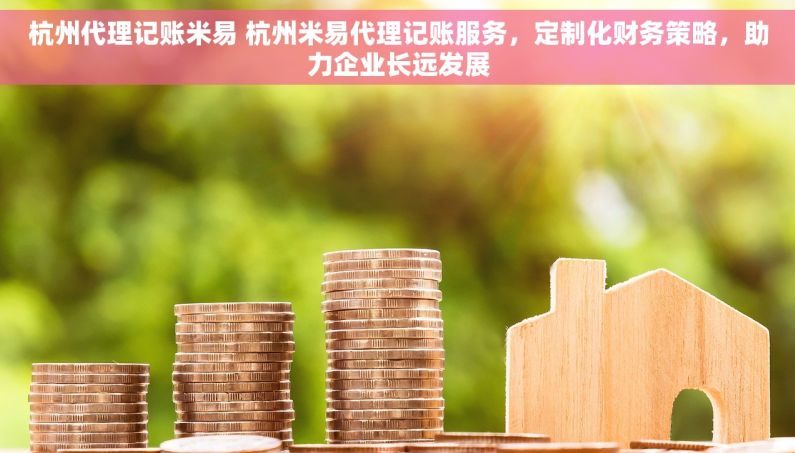 杭州代理记账米易 杭州米易代理记账服务，定制化财务策略，助力企业长远发展