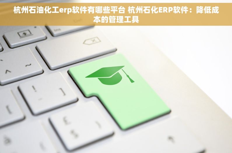 杭州石油化工erp软件有哪些平台 杭州石化ERP软件：降低成本的管理工具