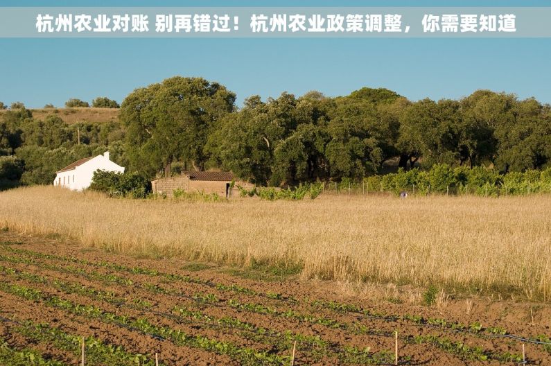 杭州农业对账 别再错过！杭州农业政策调整，你需要知道