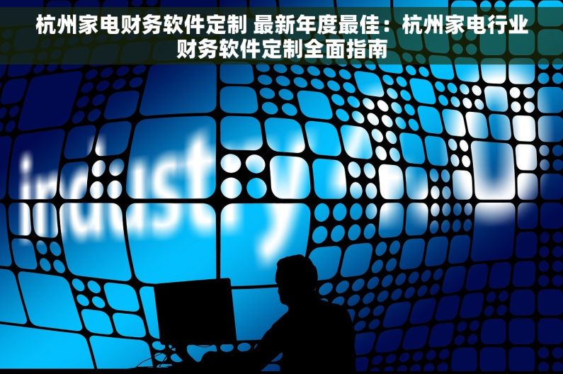 杭州家电财务软件定制 最新年度最佳：杭州家电行业财务软件定制全面指南