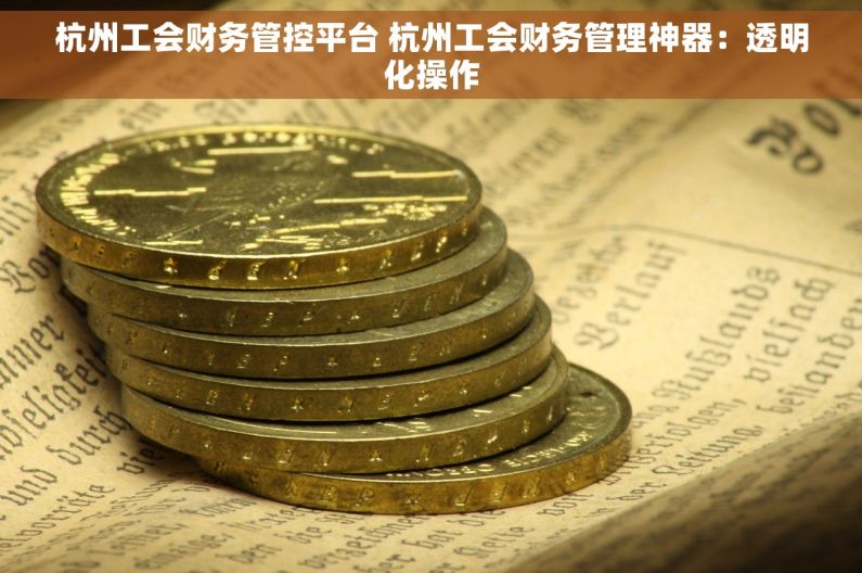 杭州工会财务管控平台 杭州工会财务管理神器：透明化操作