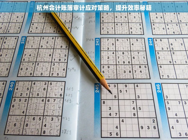 杭州会计账簿审计应对策略，提升效率秘籍