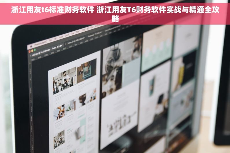 浙江用友t6标准财务软件 浙江用友T6财务软件实战与精通全攻略
