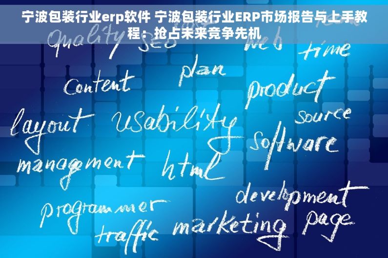宁波包装行业erp软件 宁波包装行业ERP市场报告与上手教程：抢占未来竞争先机