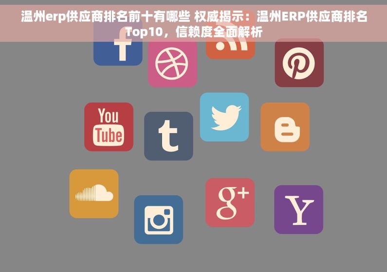 温州erp供应商排名前十有哪些 权威揭示：温州ERP供应商排名Top10，信赖度全面解析
