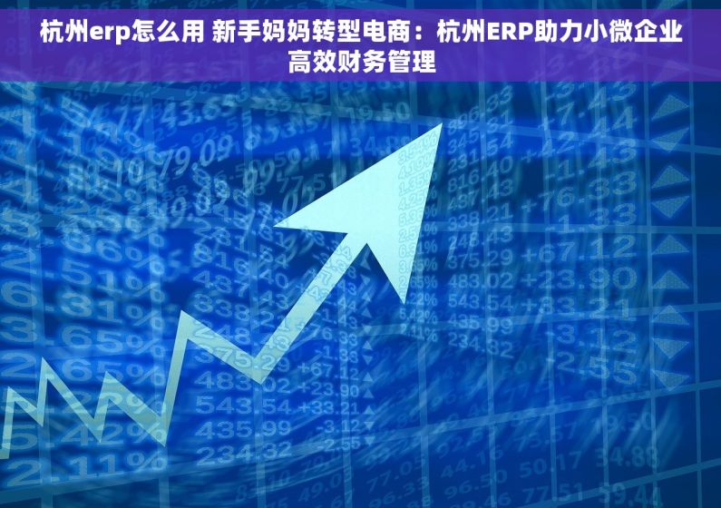 杭州erp怎么用 新手妈妈转型电商：杭州ERP助力小微企业高效财务管理