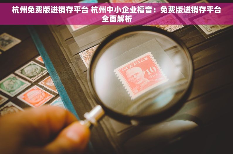 杭州免费版进销存平台 杭州中小企业福音：免费版进销存平台全面解析
