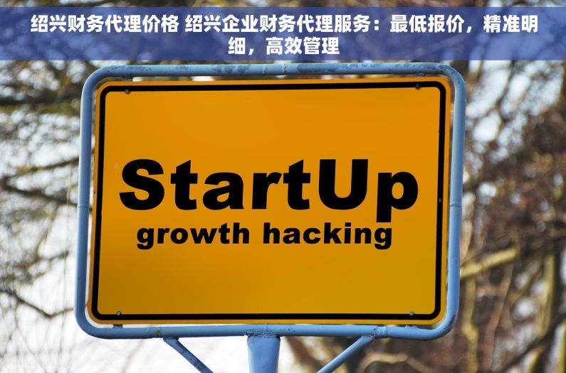 绍兴财务代理价格 绍兴企业财务代理服务：最低报价，精准明细，高效管理