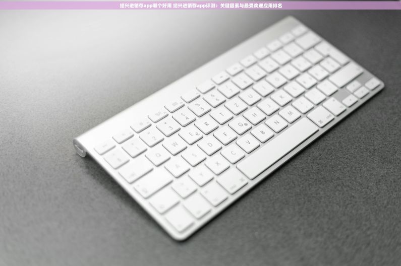 绍兴进销存app哪个好用 绍兴进销存app评测：关键因素与最受欢迎应用排名