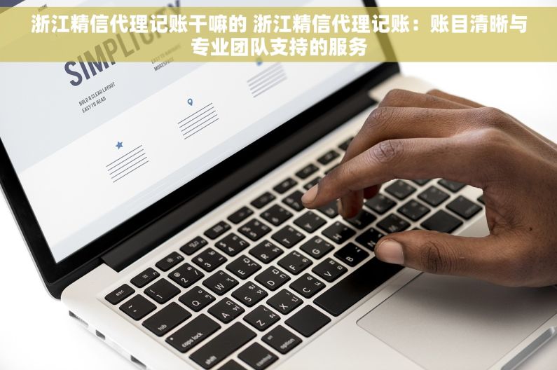 浙江精信代理记账干嘛的 浙江精信代理记账：账目清晰与专业团队支持的服务