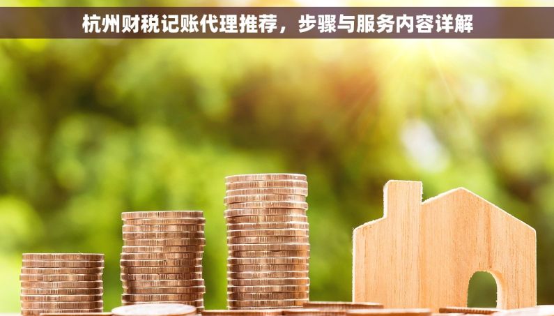 杭州财税记账代理推荐，步骤与服务内容详解