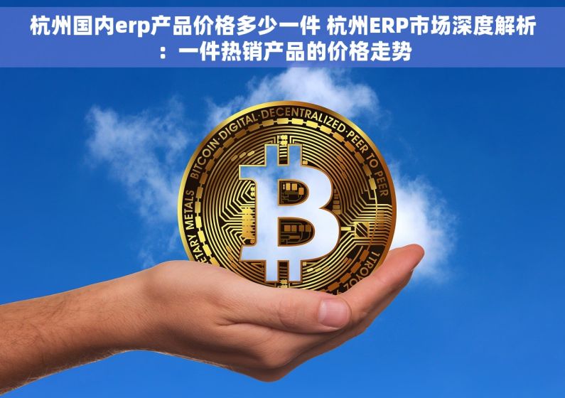 杭州国内erp产品价格多少一件 杭州ERP市场深度解析：一件热销产品的价格走势