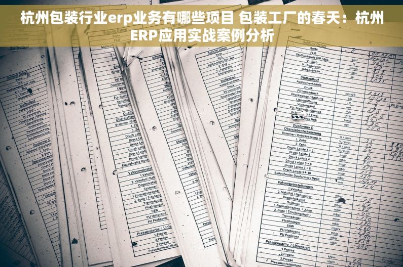 杭州包装行业erp业务有哪些项目 包装工厂的春天：杭州ERP应用实战案例分析