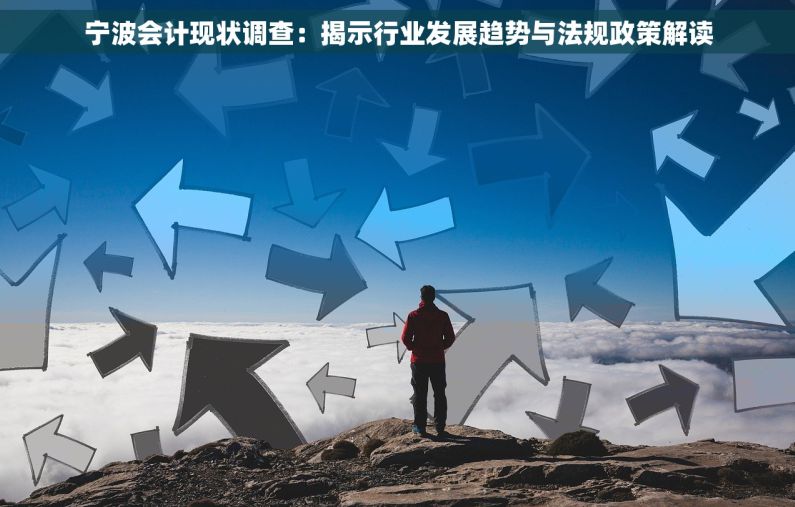 宁波会计现状调查：揭示行业发展趋势与法规政策解读
