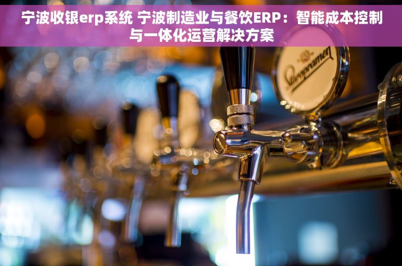 宁波收银erp系统 宁波制造业与餐饮ERP：智能成本控制与一体化运营解决方案