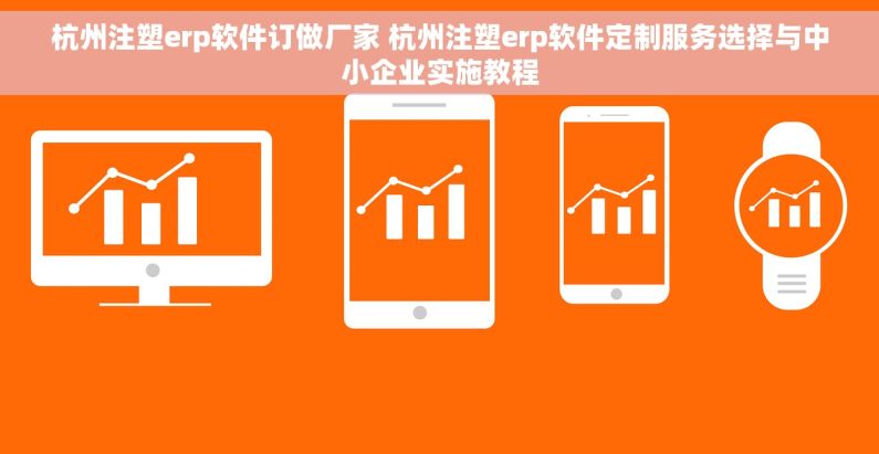 杭州注塑erp软件订做厂家 杭州注塑erp软件定制服务选择与中小企业实施教程