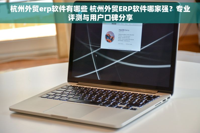 杭州外贸erp软件有哪些 杭州外贸ERP软件哪家强？专业评测与用户口碑分享