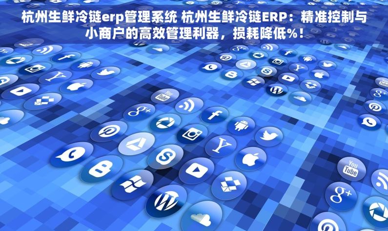 杭州生鲜冷链erp管理系统 杭州生鲜冷链ERP：精准控制与小商户的高效管理利器，损耗降低%！