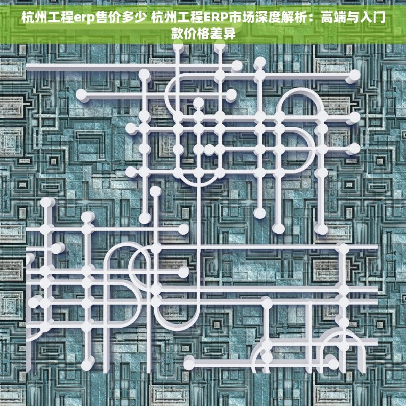 杭州工程erp售价多少 杭州工程ERP市场深度解析：高端与入门款价格差异