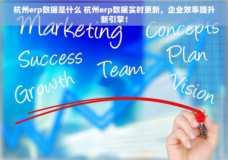 杭州erp数据是什么 杭州erp数据实时更新，企业效率提升新引擎！