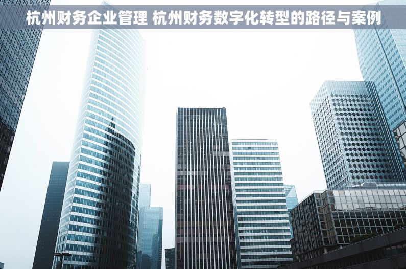 杭州财务企业管理 杭州财务数字化转型的路径与案例