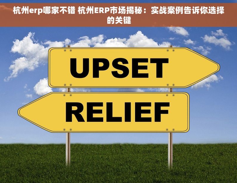 杭州erp哪家不错 杭州ERP市场揭秘：实战案例告诉你选择的关键