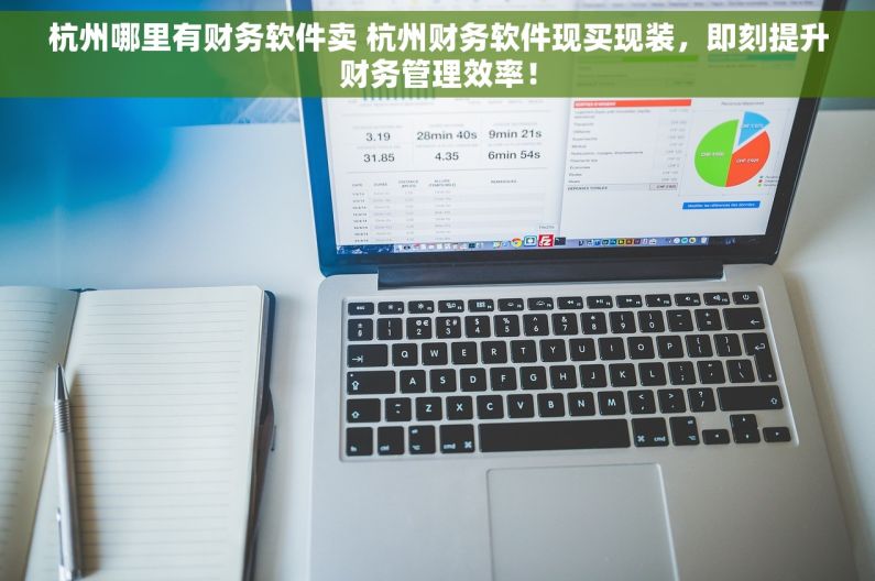 杭州哪里有财务软件卖 杭州财务软件现买现装，即刻提升财务管理效率！