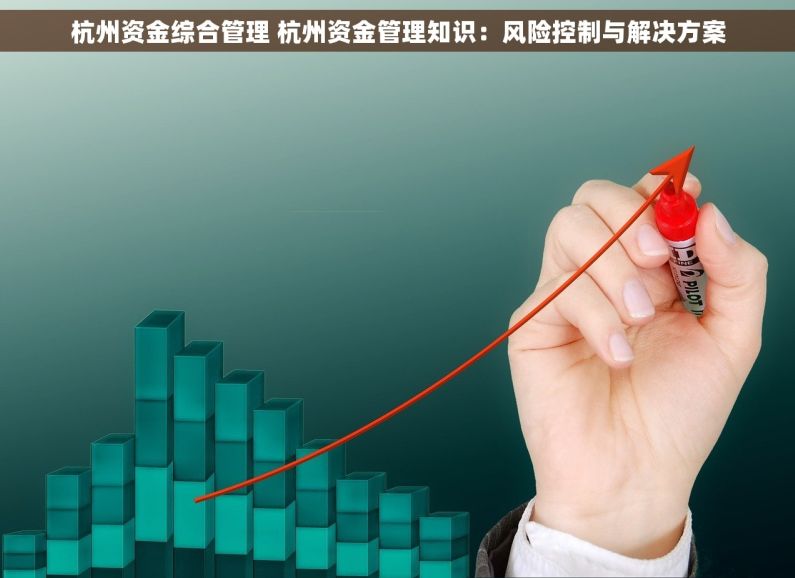 杭州资金综合管理 杭州资金管理知识：风险控制与解决方案