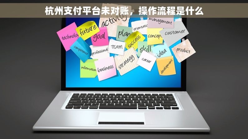 杭州支付平台未对账，操作流程是什么