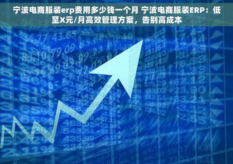 宁波电商服装erp费用多少钱一个月 宁波电商服装ERP：低至X元/月高效管理方案，告别高成本