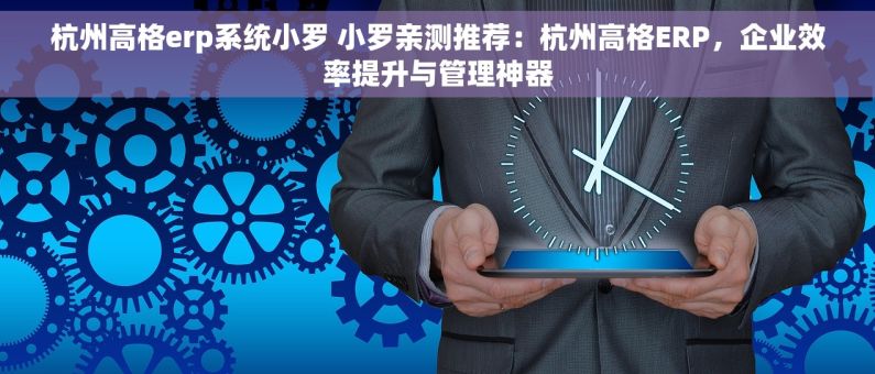 杭州高格erp系统小罗 小罗亲测推荐：杭州高格ERP，企业效率提升与管理神器