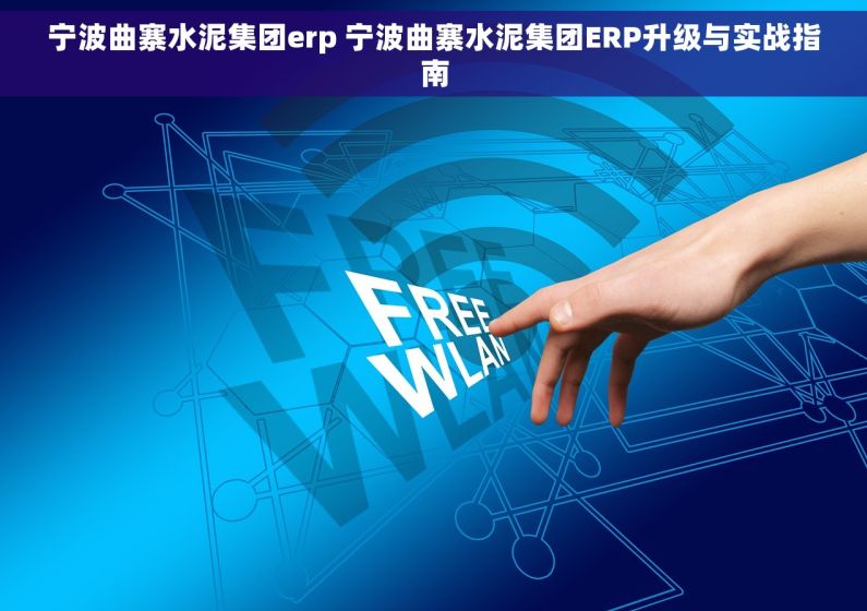 宁波曲寨水泥集团erp 宁波曲寨水泥集团ERP升级与实战指南