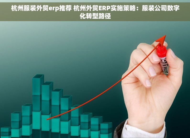 杭州服装外贸erp推荐 杭州外贸ERP实施策略：服装公司数字化转型路径